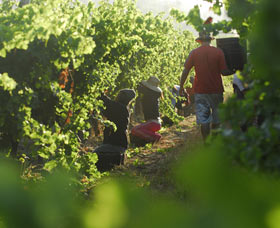 Cullen Wines - Stayed 2