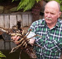 Lobster Ponds - Stayed