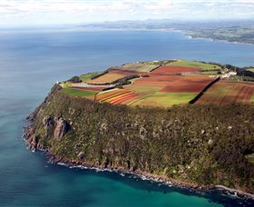 Table Cape - Stayed 0