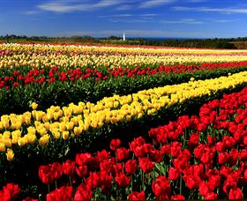 Table Cape - Stayed 2