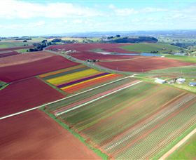 Table Cape - Stayed 4