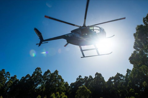 Tall Timbers Adventure Tours - Stayed 6