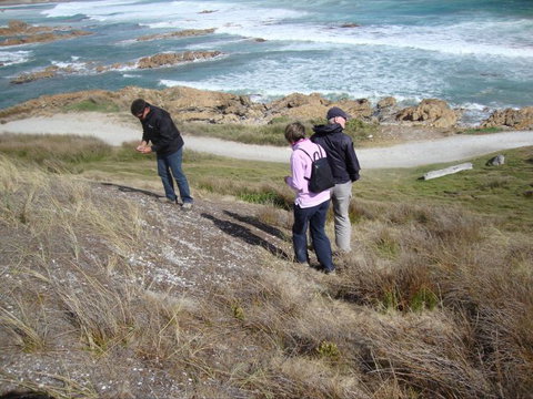 Tall Timbers Adventure Tours - Stayed 12