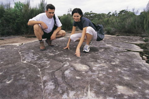 Sydney Coast Walks - Stayed 4