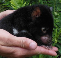 Crawn Motors - Stayed