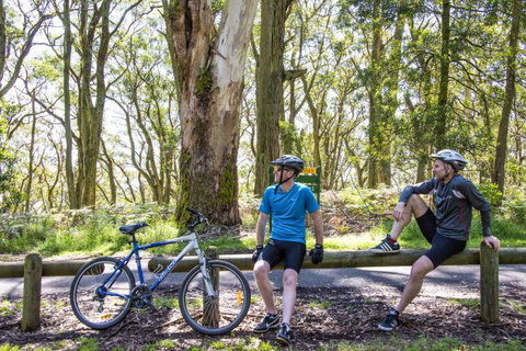 Fit Tours - Stayed 9