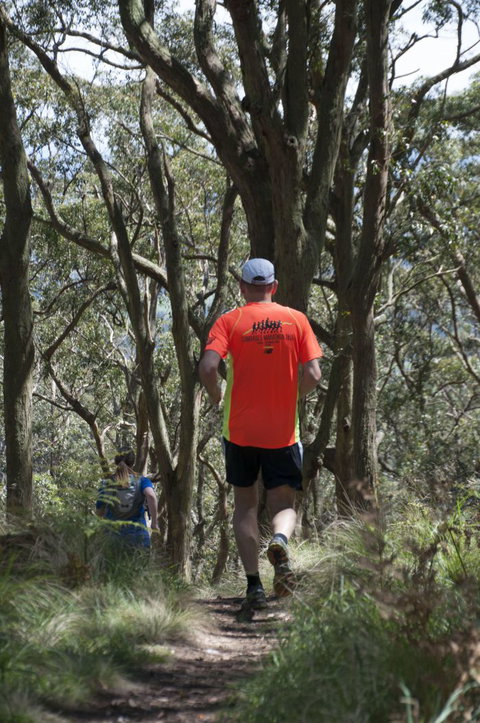 Fit Tours - Stayed 12