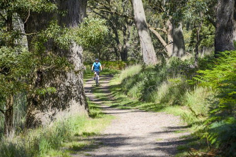 Fit Tours - Stayed 16