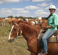 Myella Farm Stay Tours - Stayed