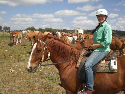 Myella Farm Stay Tours - Stayed 0