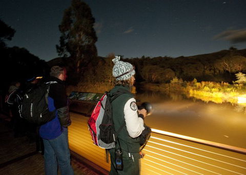 Naturewise At Tidbinbilla - Stayed 1