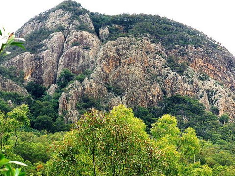 Mount Greville Track - Stays Accommodation 0