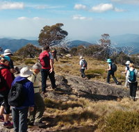 Hedonistic Hiking - Stayed