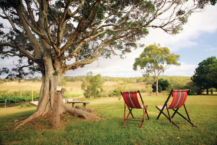 Wilsonton Heights QLD Stayed