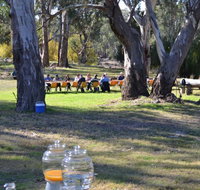 Glendale Citrus  Hazelnut Orchard - Stayed