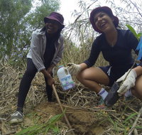 Small World Journeys - Stayed