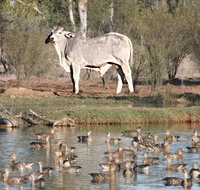 Natural Encounters Trail - Stayed