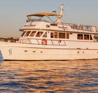 Spirit Fleet - Stayed