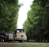 ODempseys Charters and Tours - Stayed