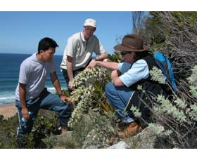 Sapphire Coast Ecotours - Stayed 1