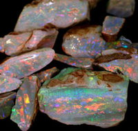 Arid Areas Tours - Stayed