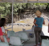 Whitsunday Crocodile Safari - Stayed