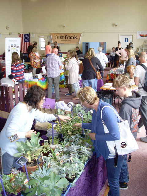 Health Harmony And Happiness Festival - Stayed 0