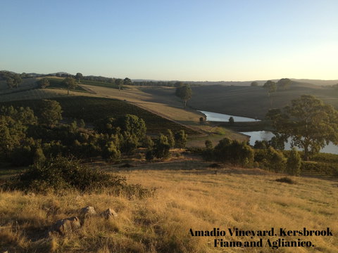 Scott & La Prova - Stays Accommodation 1