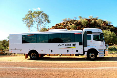 Centre Bush Bus - Stayed 0