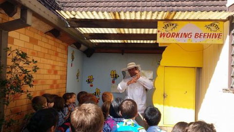 The Honey Place - Stayed 4