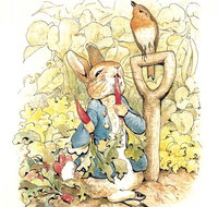 Mount Isa Civic Centre - Stayed