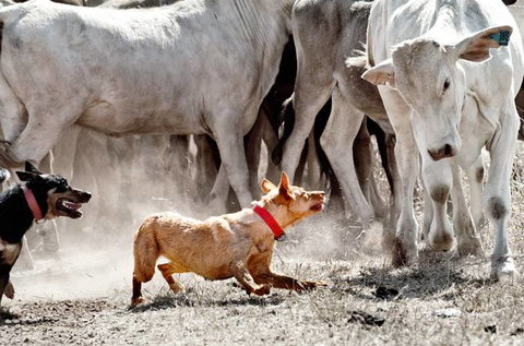 David Hancock Photography - Stayed 2