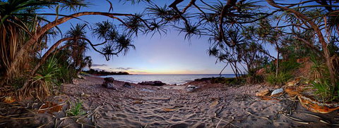 Silva Gallery - Stays Accommodation 3