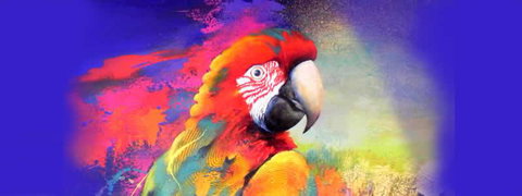 Tina Cooper Gallery - Stayed 2