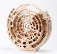 Noosa Regional Gallery - Stayed