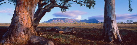 Nissarana Galleries Noosa - Stayed 1