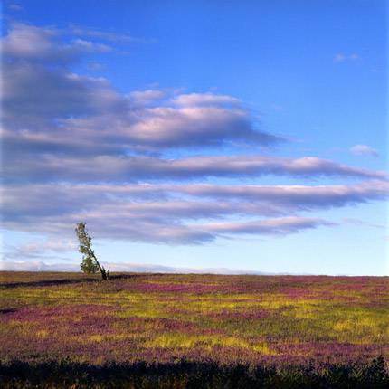 Nissarana Galleries Noosa - Stayed 2