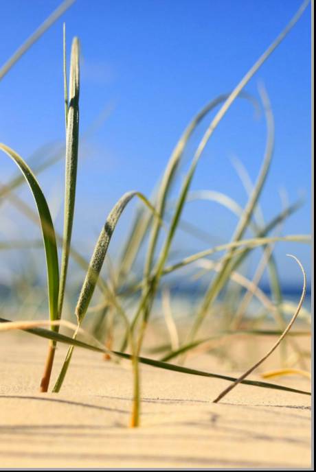 Coastal Visions Photography - Stayed 1