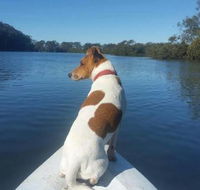 Australis Canoes  Kayaks - Stayed