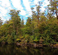 A R Reflections River Cruises - Stayed