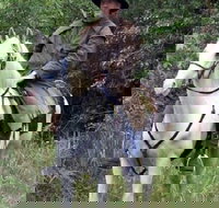 AAA Horse Riding  More - Stayed