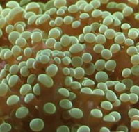 River to Reef Aquarium - Stayed