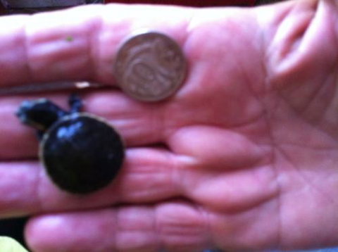 Hurley’s Aquariums - Stayed 0