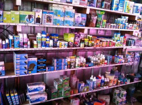 Hurley’s Aquariums - Stayed 1