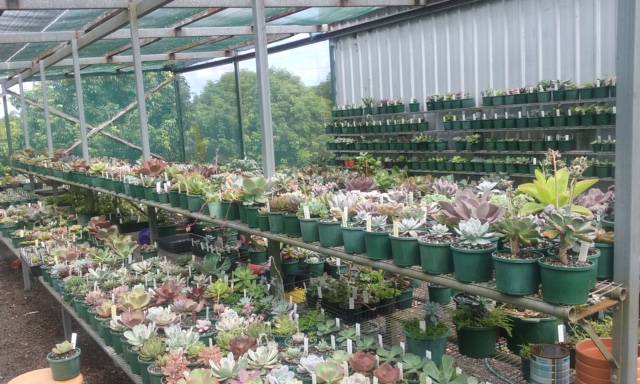 Wollongbar NSW Stayed