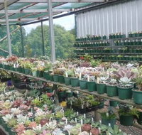 Summerland Aquarium - Stayed