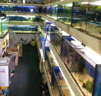 Clearwater Aquariums - Stayed