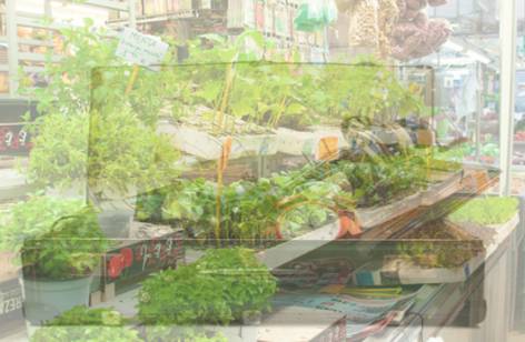 Dapto Markets - Stayed 2