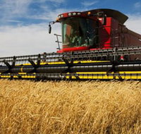 Quirindi Grain and produce - Stayed