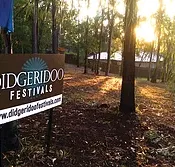 Didgeridoo Jam in the Park - Stayed